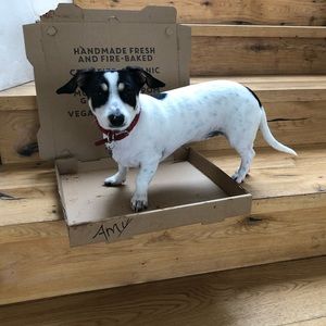 Meet your Posher, Amy